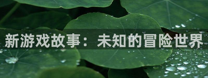 杏耀平台登录网址客服：新游戏故事：未知的冒险世界