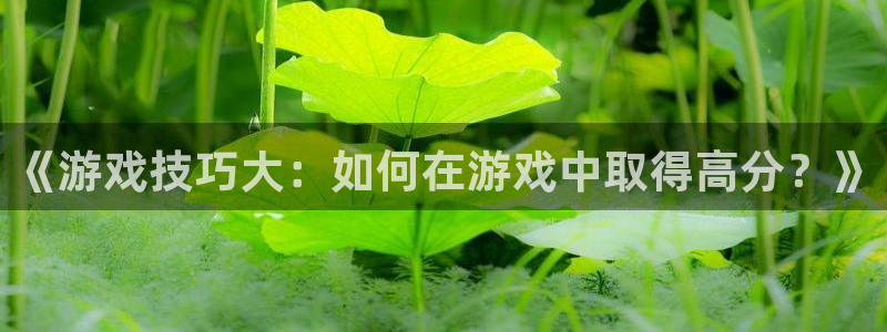 杏耀平台得专用通道