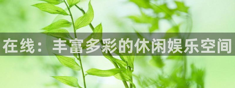 杏耀总代