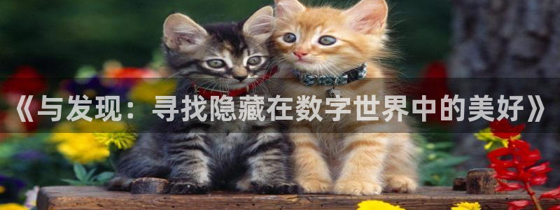 杏耀干嘛的