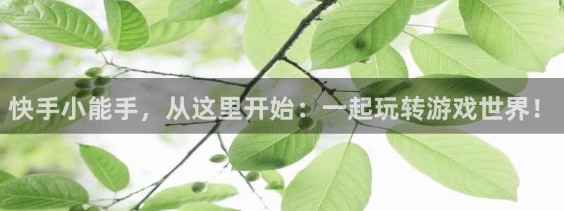 杏耀平台代理怎么赚钱：快手小能手，从这里开始：一起玩转游戏世