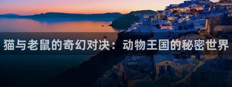 杏耀测速登录网