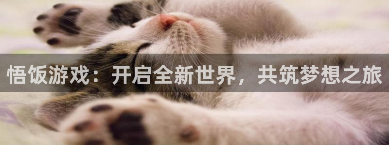 杏耀平台官方登陆