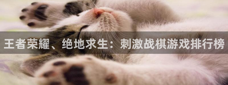 杏耀代理主管qq