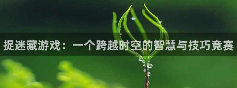 杏耀登入官网的登录方式与步骤：捉迷藏游戏：一个跨越时空的智慧