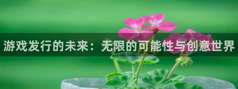 杏耀登陆电脑线路测速：游戏发行的未来：无限的可能性与创意世界