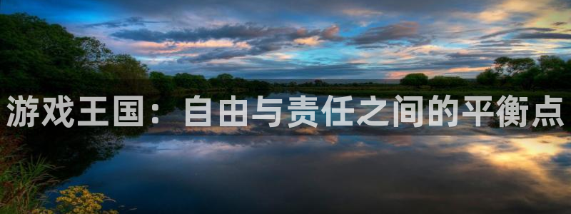 杏耀登录中心：游戏王国：自由与责任之间的平衡点