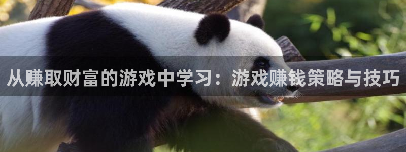杏耀平台地址：从赚取财富的游戏中学习：游戏赚钱策略与技巧