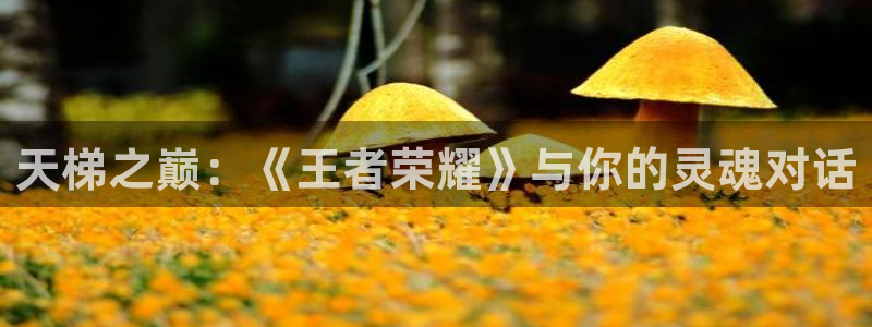 杏耀平台登录方式