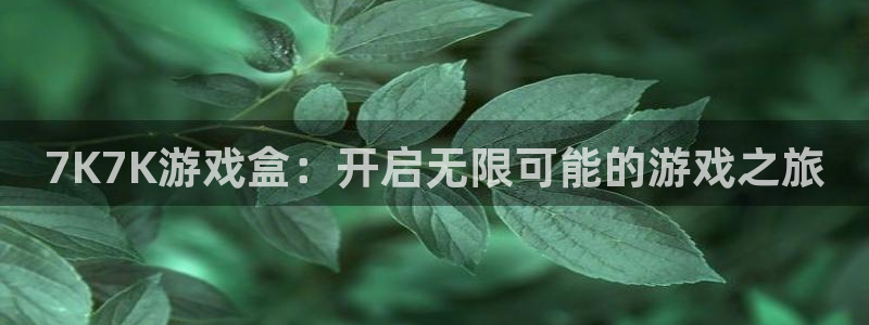 杏耀官网娱乐：7K7K游戏盒：开启无限可能的游戏之旅
