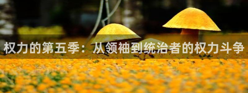 杏耀注册平台是免费下载吗：权力的第五季：从领袖到统治者的权力