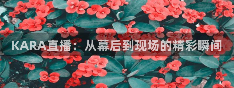 体育赛事视频直播看球吧：KARA直播：从幕后到现场的精彩瞬间