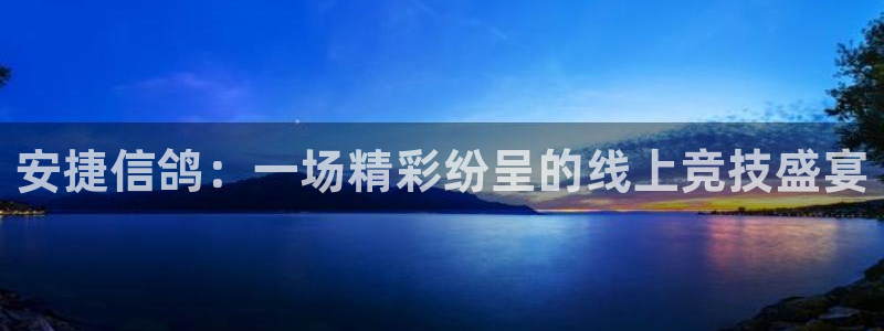 886直播看球吧：安捷信鸽：一场精彩纷呈的线上竞技盛宴