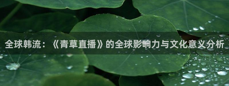 看球吧直播官网：全球韩流：《青草直播》的全球影响力与文化意义分析