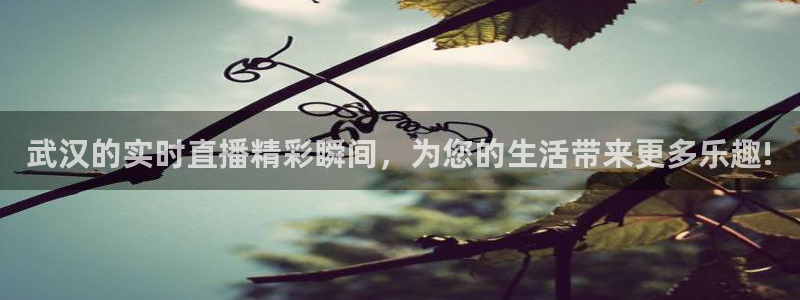 看球吧雨燕直播：武汉的实时直播精彩瞬间，为您的生活带来更多乐趣!