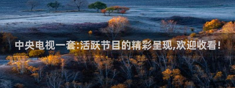 365看球吧直播：中央电视一套:活跃节目的精彩呈现,欢迎收看!