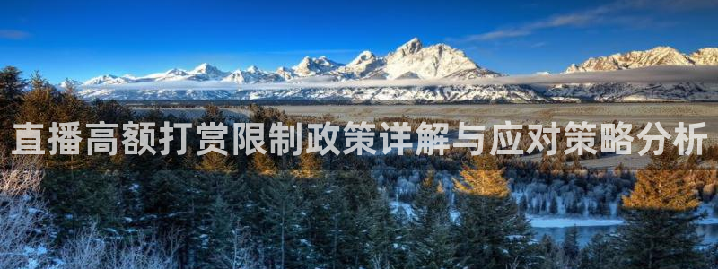 看球吧jrs直播nba：直播高额打赏限制政策详解与应对策略分析