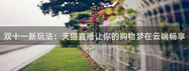 nba视频直播无插件看球吧：双十一新玩法：天猫直播让你的购物梦在云端畅享