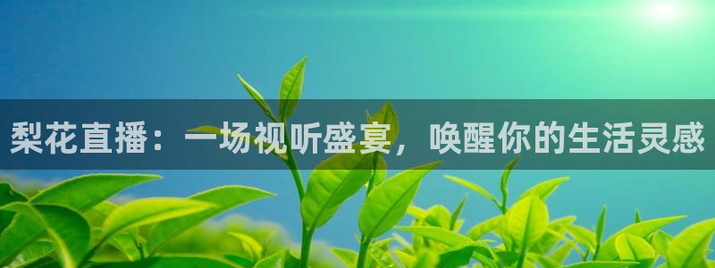 体育赛事视频直播看球吧：梨花直播：一场视听盛宴，唤醒你的生活灵感