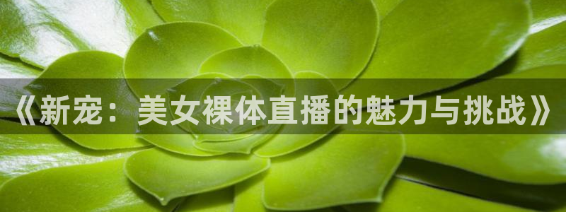 看球吧免费直播：《新宠：美女裸体直播的魅力与挑战》