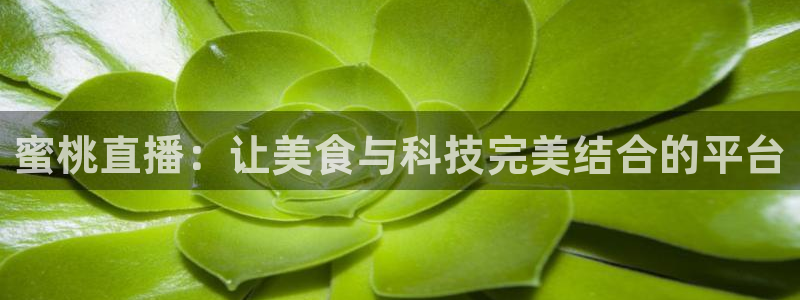nba直播看球吧：蜜桃直播：让美食与科技完美结合的平台