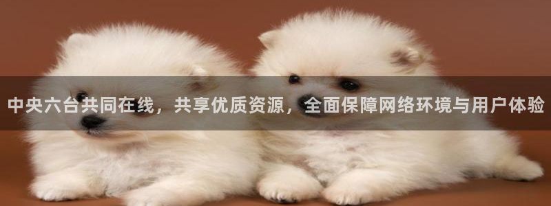 看球吧直播：中央六台共同在线，共享优质资源，全面保障网络环境与用户体验
