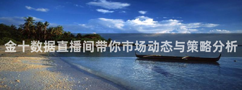 看球吧 直播：金十数据直播间带你市场动态与策略分析