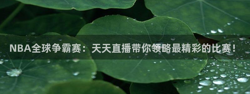看球吧直播nba：NBA全球争霸赛：天天直播带你领略最精彩的比赛！
