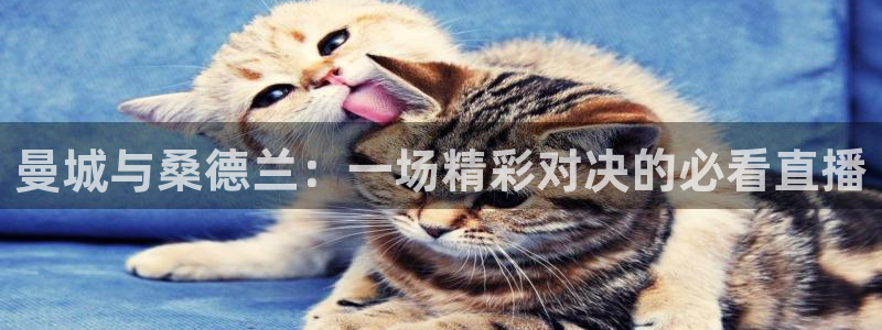 jrs直播看球吧：曼城与桑德兰：一场精彩对决的必看直播