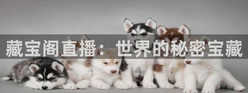 看球吧nba免费直播：藏宝阁直播：世界的秘密宝藏